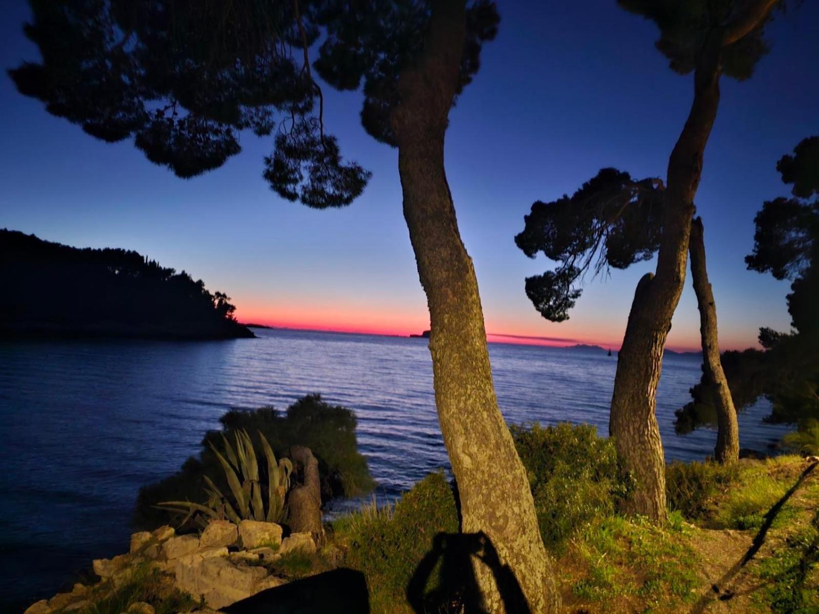 Villa Anica Dubrovnik - Luxurious With A Sea View Exteriör bild