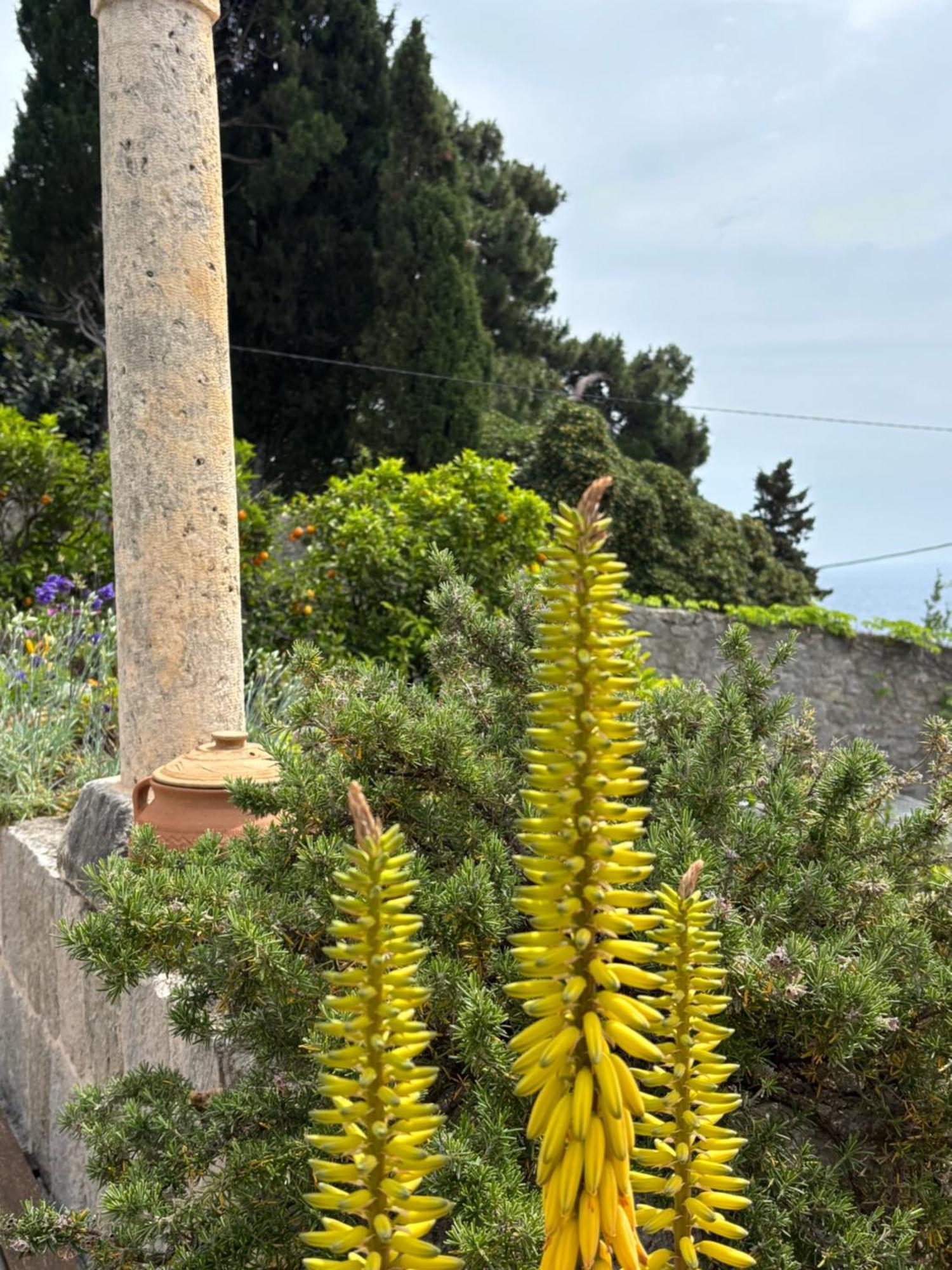 Villa Anica Dubrovnik - Luxurious With A Sea View Exteriör bild